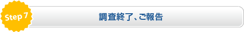 調査終了、ご報告