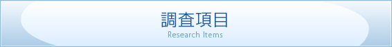 調査項目