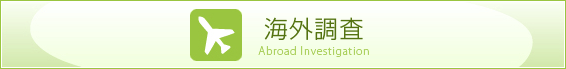 海外調査
